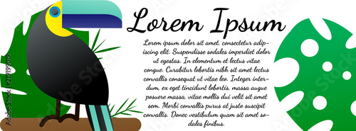 Design template. Toucan and tropical leaves of monstera