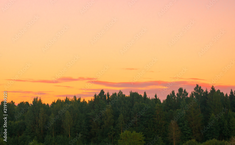forest sunset, Braslaw
