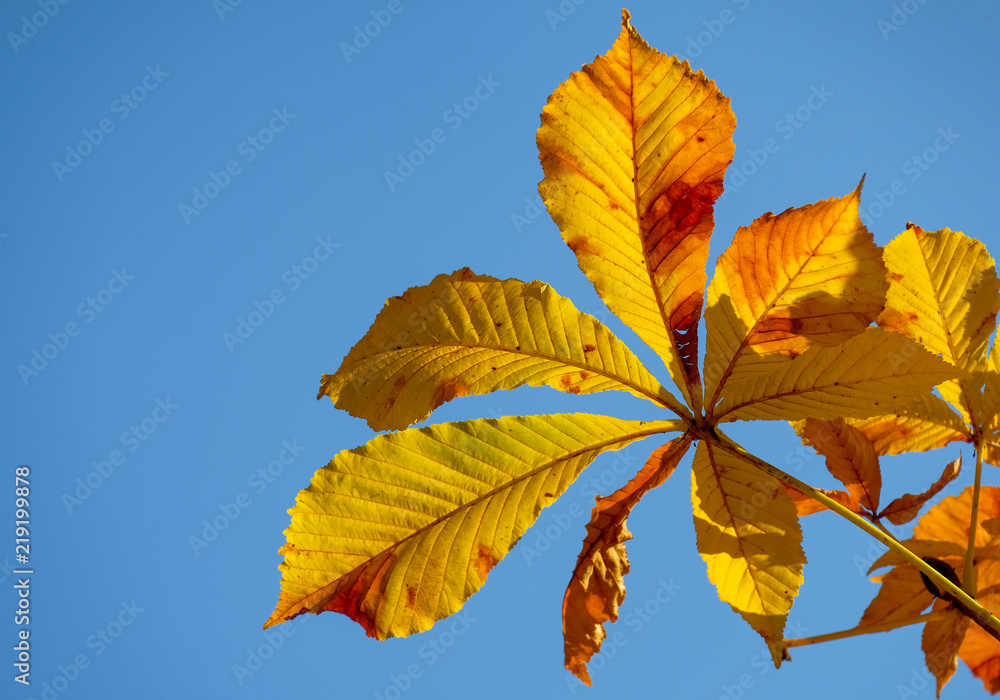 Herbstfarben Herbstfarben