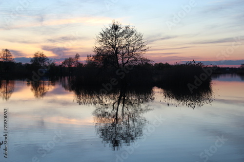 Krajobraz,niebo,drzewo,drzew,wieczorny 