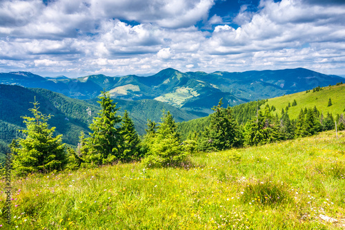 Spring landscape with grassy meadows and the mountain peaks, blue sky with clouds in the background. The Donovaly area in Velka Fatra National Park, Slovakia, Europe.