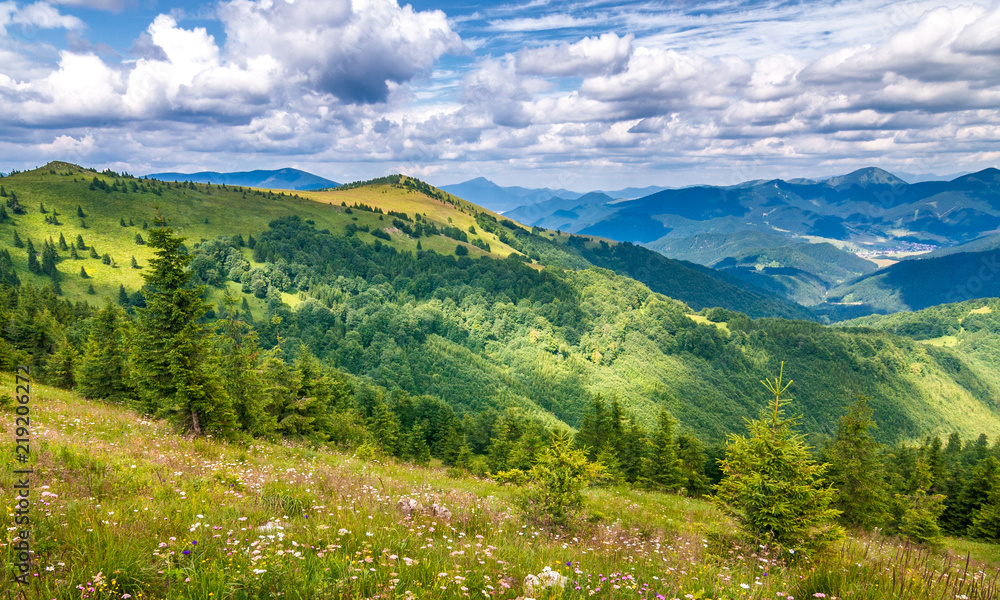 Obraz premium Spring landscape with grassy meadows and the mountain peaks, blue sky with clouds in the background. The Donovaly area in Velka Fatra National Park, Slovakia, Europe.