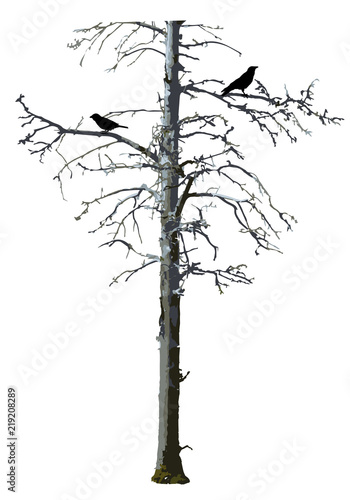 Realistic bare scary tree vector with birds.