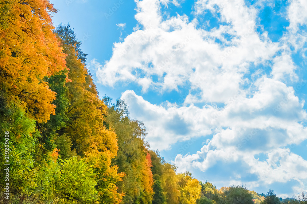 Beautiful autumn forest. Yellow, orange and green trees against the blue sky