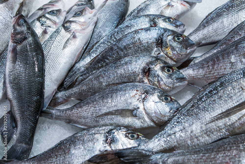 Obraz premium Fish sale in market. Sea bream fish on ice.