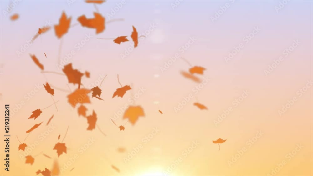 Autumn leaves on sky background Autumn leaves on sky background