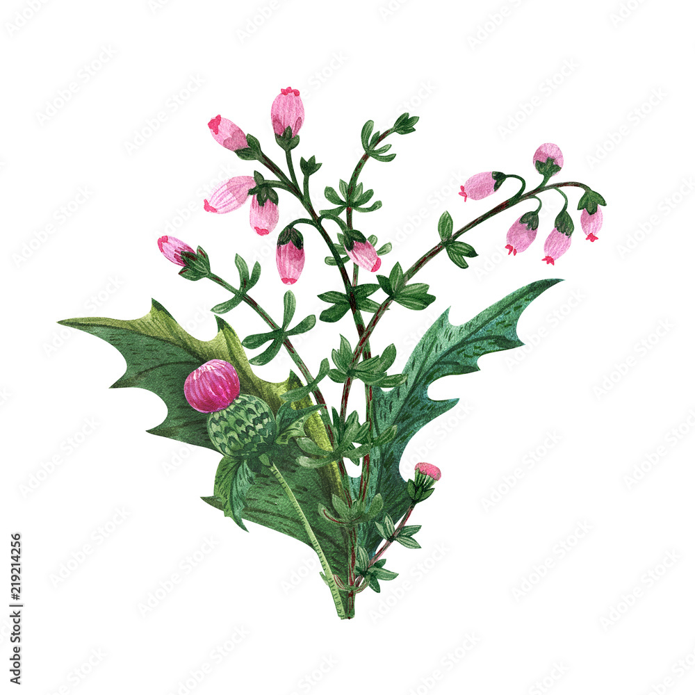 Scottish wild plants boutonniere, thistle bouquet Scottish wild plants boutonniere, thistle bouquet