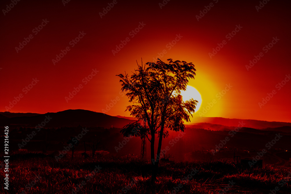 sunset nature sunset nature