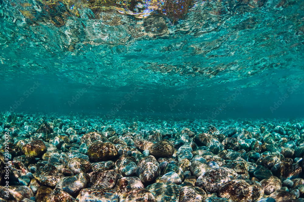 Fototapeta premium Underwater scene with copy space.