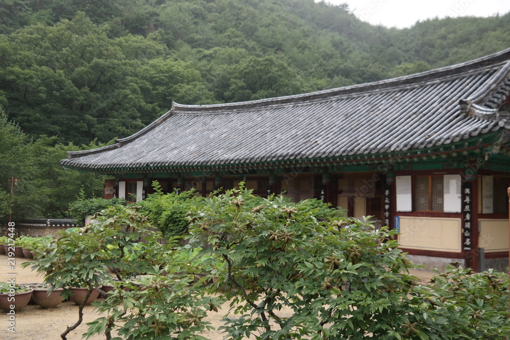 Daejeonsa Buddhist Temple