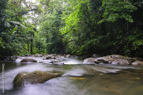 Chachagua River Costa Rica