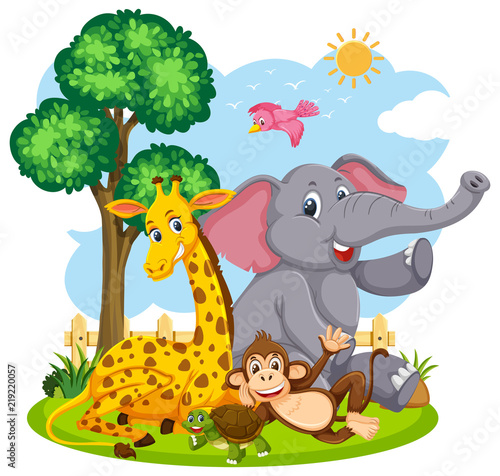 Plakat zwierzę drzewa ptak słoń