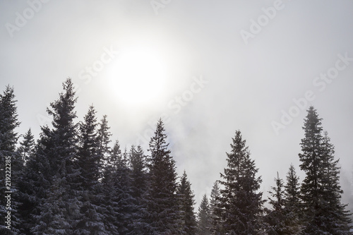 Beautiful alpine scenery on a bright winter day, with fresh snow and fir trees