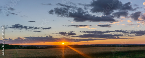 Field Sunset