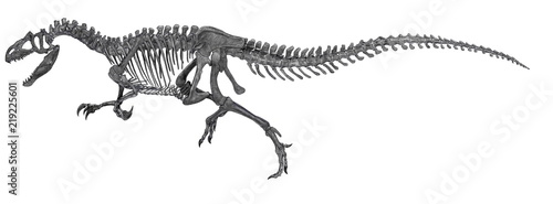 アロサウルス全身骨格図。ジュラ紀後期の肉食恐竜。他の肉食恐竜に比して尾が長く、後脚仮死の部分の長さから、かなりの速度で疾走可能であったと思われる。近年個体変異といえる大型のものや近似種がいくつか発見されている。単色に近い彩色を行ったオリジナルイラスト画像。