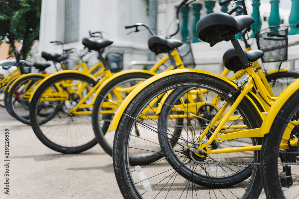 Line of Yellow Bicycles in Thai Temple