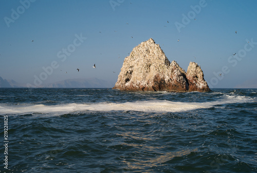 Guano Island - Islas Ballestas, in the Pacific Ocean, Paracas District, Peru photo