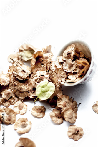 Close up of dried leaves of pipado, or pipadi, or indian rosewood or pippala tree or sacred fig or Ficus religiosa in a white  colored glass container isolated on white eaten by the animals and humans photo