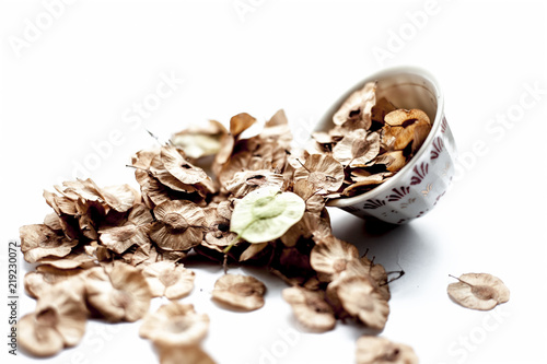 Close up of dried leaves of pipado, or pipadi, or indian rosewood or pippala tree or sacred fig or Ficus religiosa in a white  colored glass container isolated on white eaten by the animals and humans photo