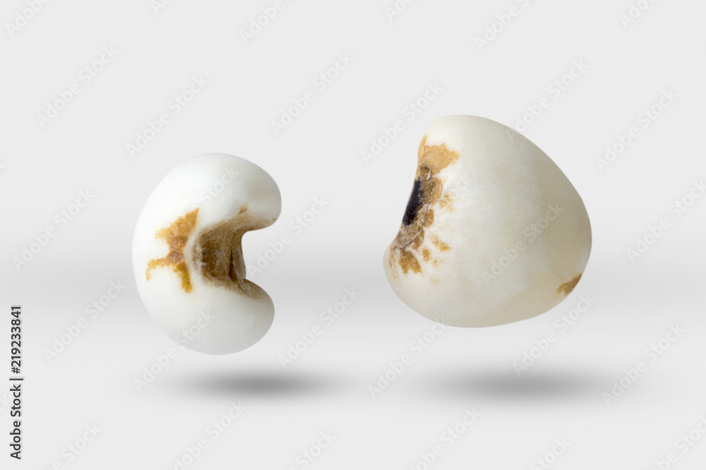 Fototapeta premium millet on gray color background and clipping path.