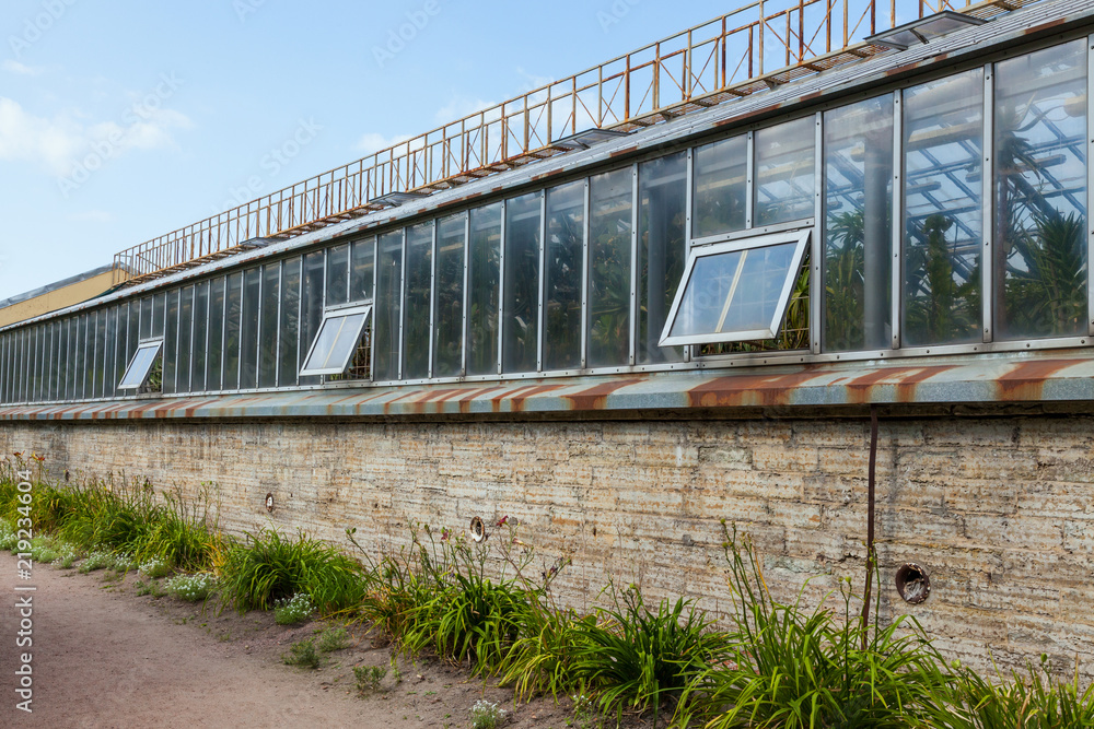 Greenhouse with plants in the Botanical garden Greenhouse with plants in the Botanical garden