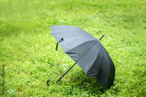 Umbrella on The Green Grass