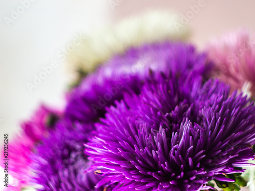 Bouquet of colored asters. Autumn flowers. Blurred background. Aster.