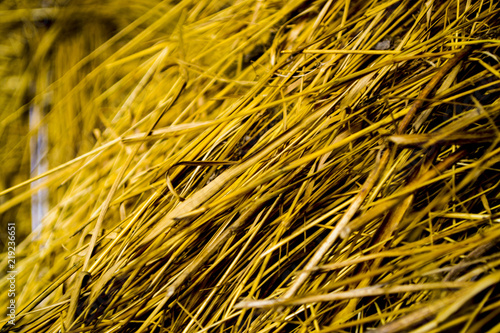 Sharp straw