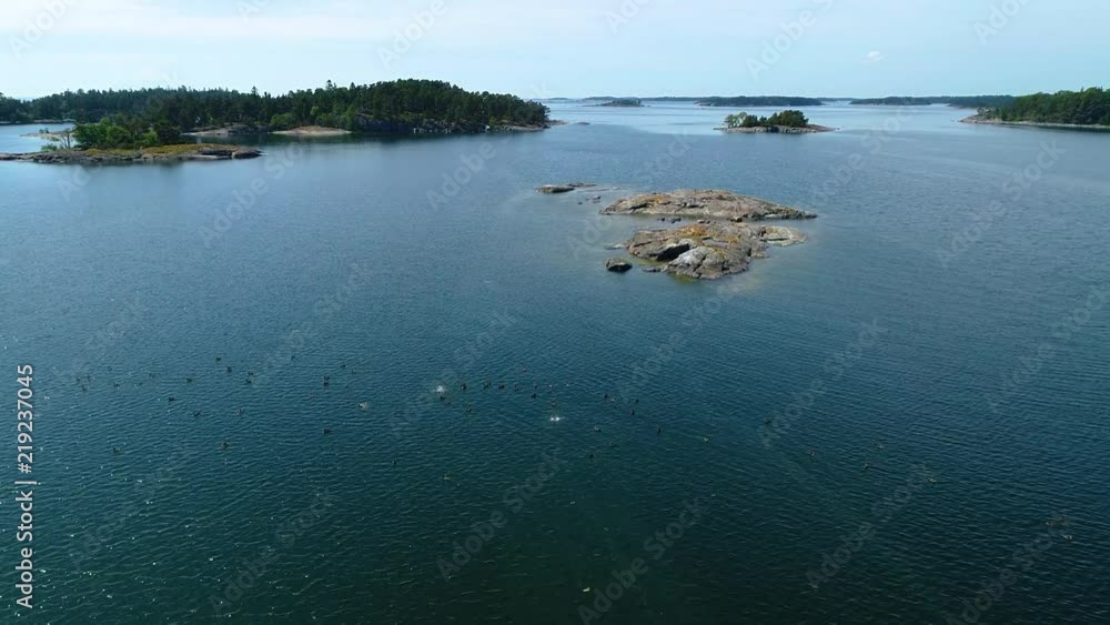 4K HD view with drone flying low over sea and lots of birds swimming in the water during summer midday. Baltic Sea. Inkoo. Finland. Scandinavia. Summer 2017 4K HD view with drone flying low over sea and lots of birds swimming in the water during summer midday. Baltic Sea. Inkoo. Finland. Scandinavia. Summer 2017