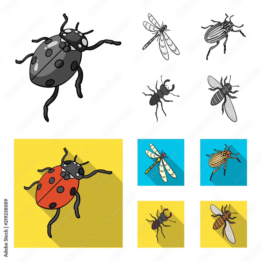 Arthropods Insect ladybird, dragonfly, beetle, Colorado beetle Insects ...