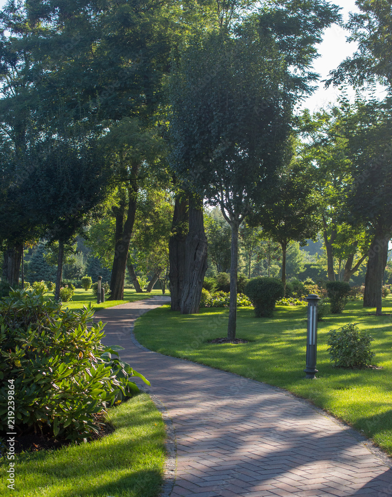Beautiful summer park with green trees and grass and walkway. Early autumn garden landscape. Silent garden in morning sunlight. Peace and relax concept.
