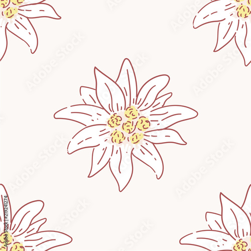 edelweiss flower seamless pattern, tile symbol alpinism alps germany logo