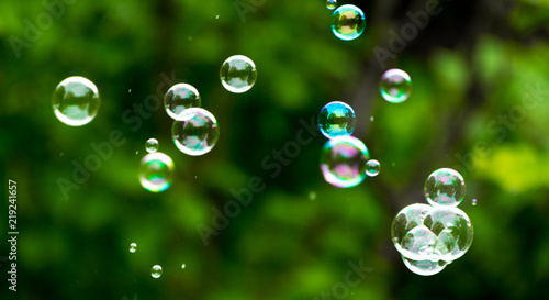 Soap Bubbles on Green Nature Background