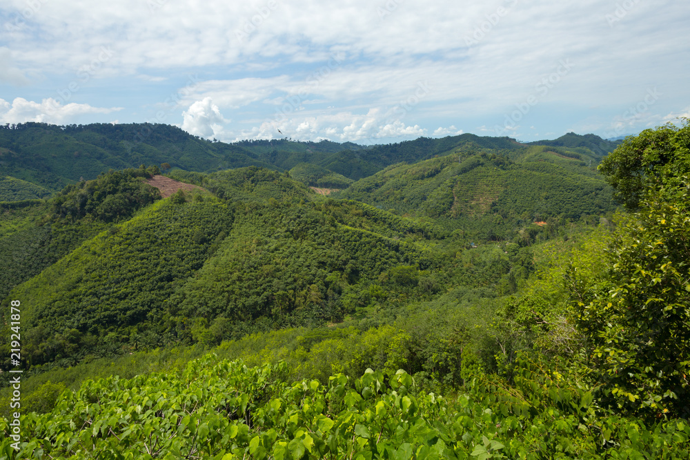 Fototapeta premium Tropical rain forest hill landscape