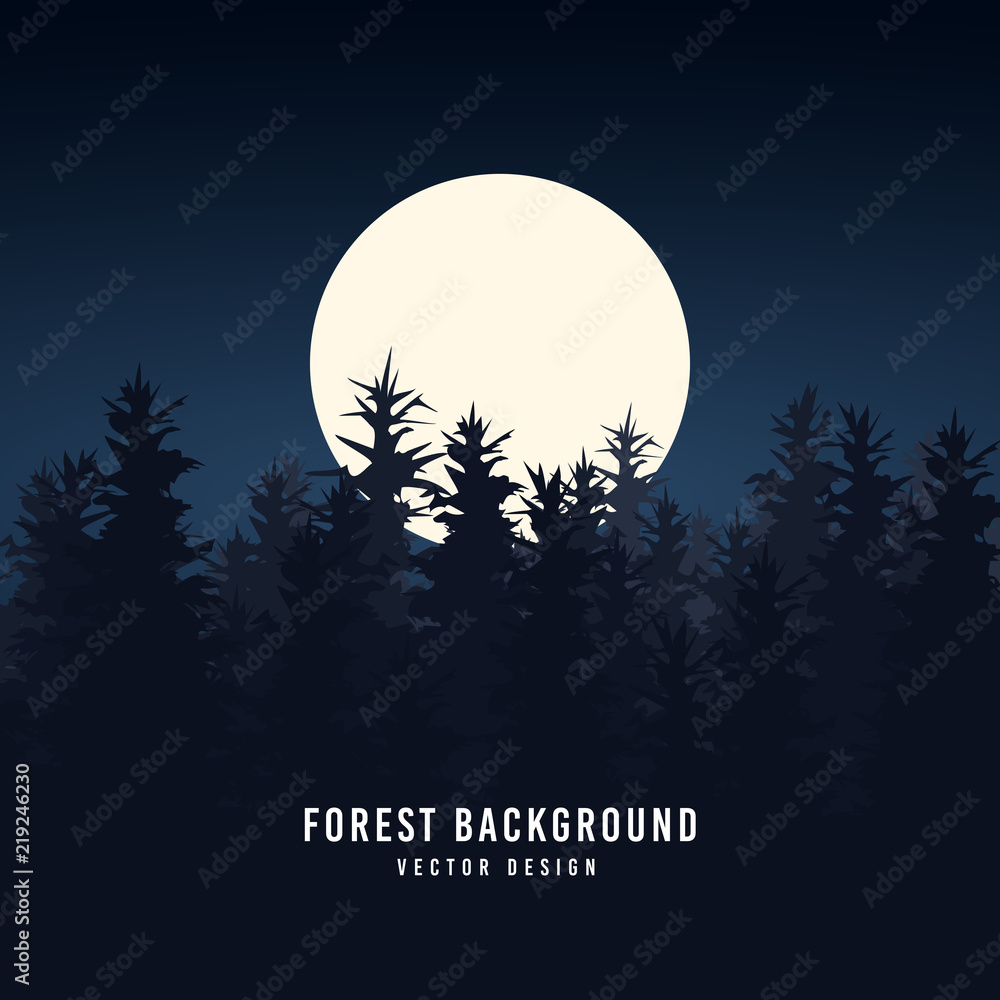 This is the background of the night sky in the forest.