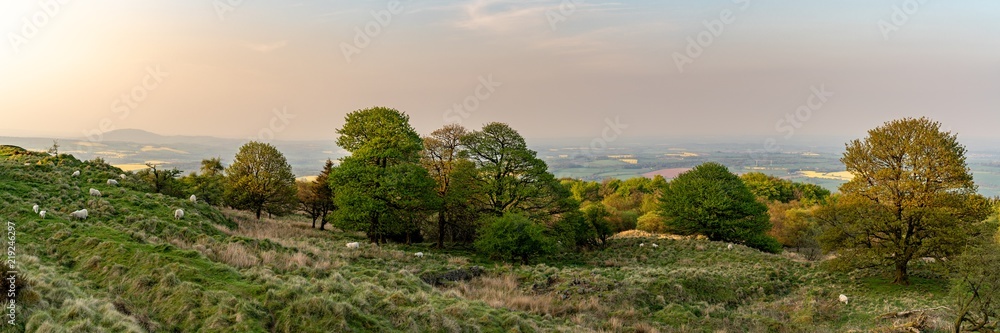 View from the top of Abdon Burf with sheep grazing, near Cleobury North, Shropshire, England, UK