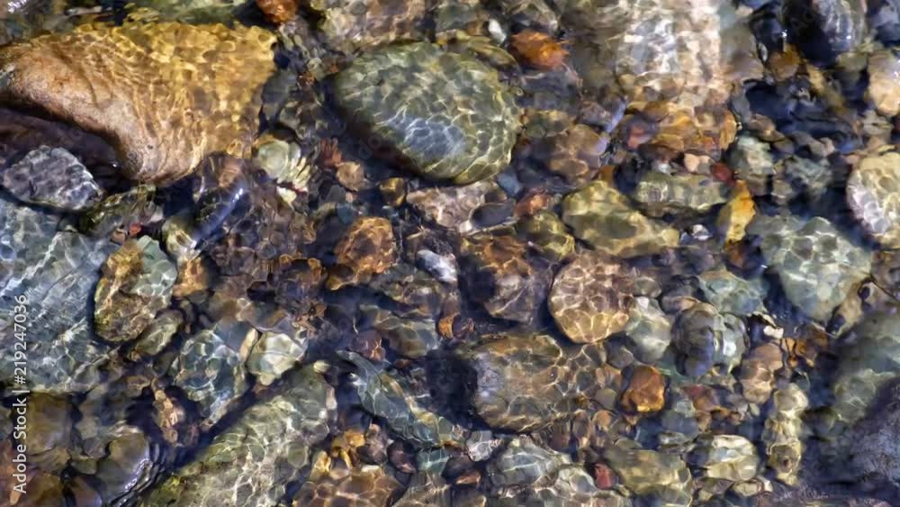 Stones and pebbles under the transparent water on the bottom of river Stones and pebbles under the transparent water on the bottom of river