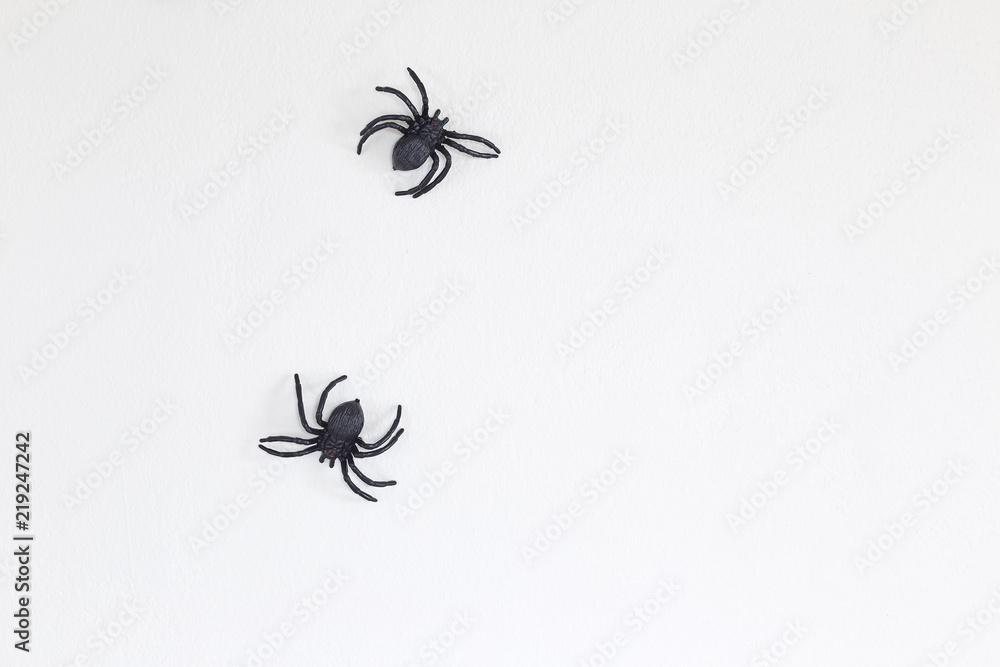 Halloween black spiders on wall