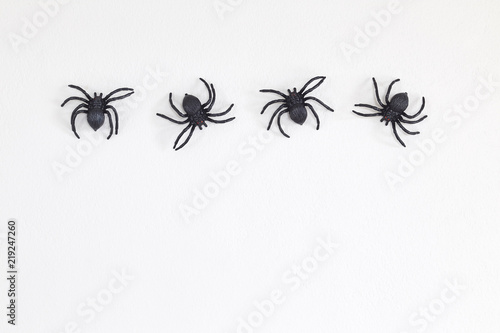 Halloween black spiders on wall © 1981 Rustic Studio
