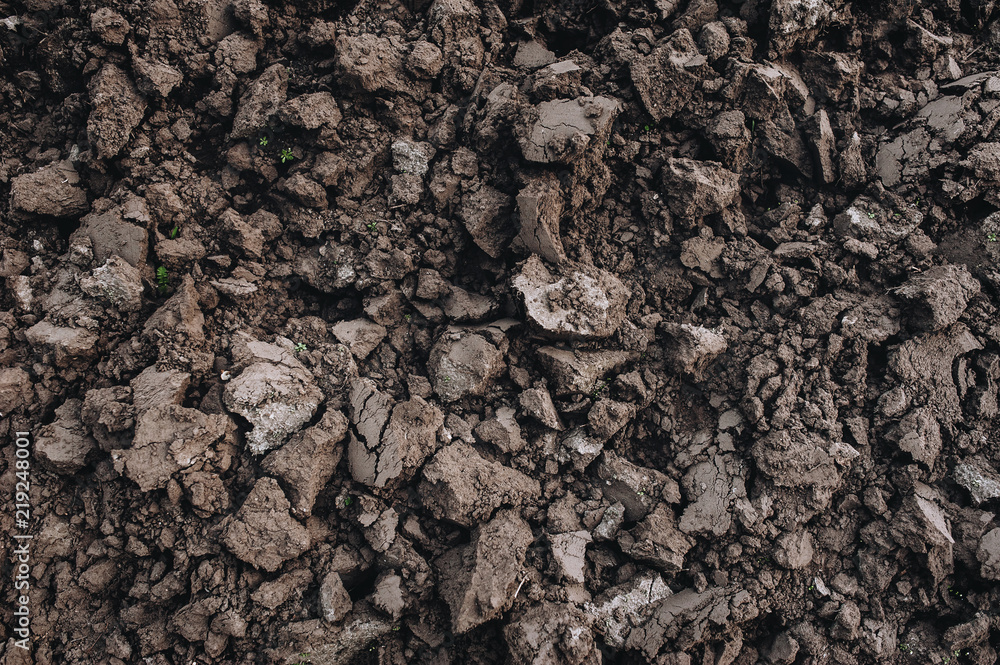 Black soil close up. Agriculture. Chernozem. Cultivation of land. Black soil close up. Agriculture. Chernozem. Cultivation of land.
