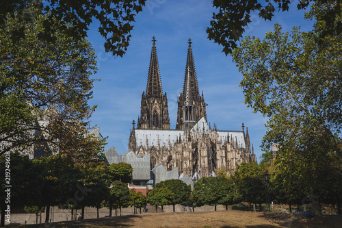 Cologne cathedral framed by trees against blue sky
