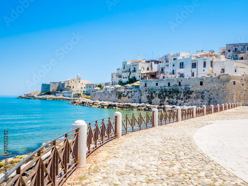 Obraz na płótnie Area of ​​the port of Vieste, Gargano, Puglia