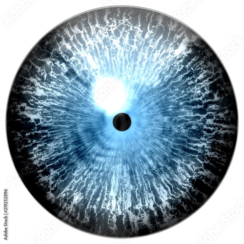 Blue frozen 3d eye, animal eyeball texture, blue color, isolated white background, colorized eyeball, little black pulpil