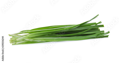 Garlic chives isolated on white background photo