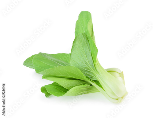 Bok choy (chinese cabbage) isolated on white background photo