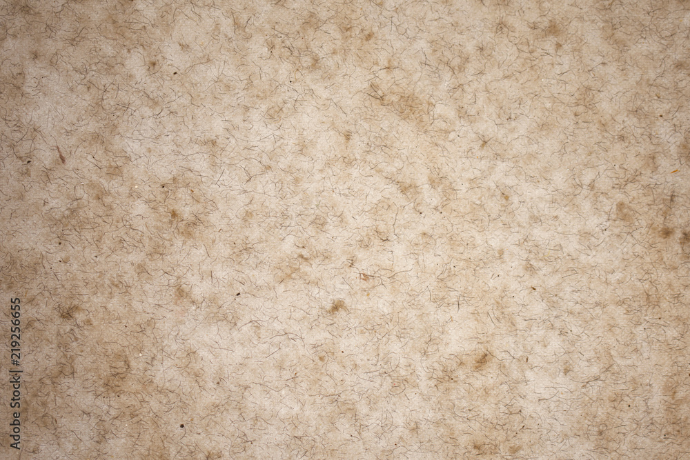 Backlit Paper Background, Backdrop Backlit Paper Background, Backdrop