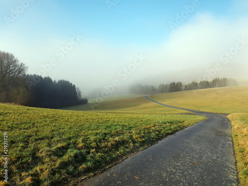 Nebellandschaft, Feld, Wiesen, Nebel photo