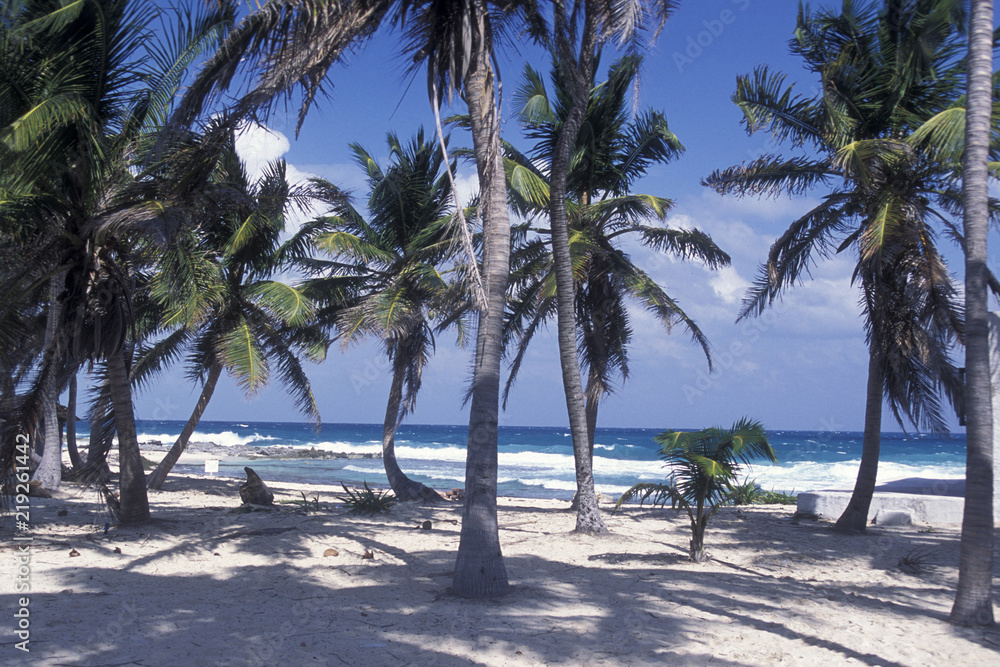 Obraz premium MEXICO YUCATAN CANCUN BEACH CARIBBEAN SEA