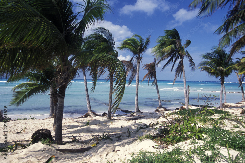 MEXICO YUCATAN CANCUN BEACH CARIBBEAN SEA MEXICO YUCATAN CANCUN BEACH CARIBBEAN SEA