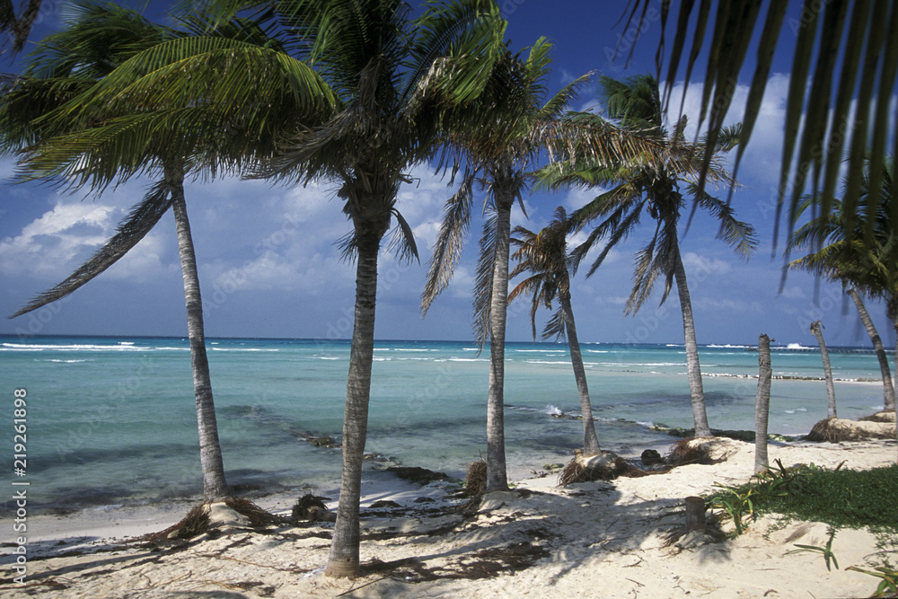 MEXICO YUCATAN CANCUN BEACH CARIBBEAN SEA MEXICO YUCATAN CANCUN BEACH CARIBBEAN SEA